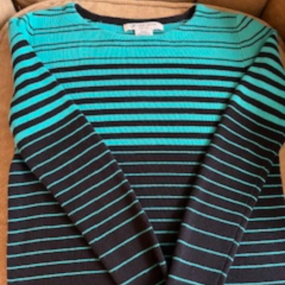 Turquoise/Dark Navy striped Liz Claiborne sweater PXS